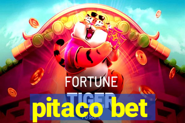 pitaco bet